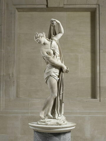 Vénus callipyge, image 2/11