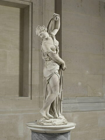 Vénus callipyge, image 3/11