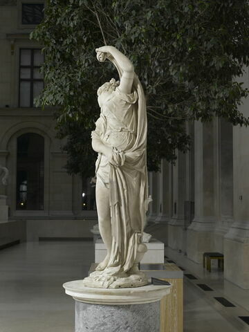 Vénus callipyge, image 4/11