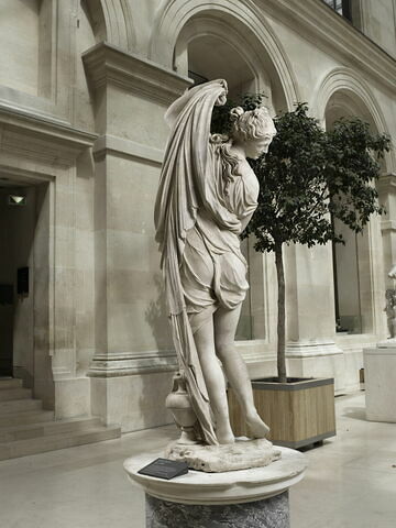 Vénus callipyge, image 7/11