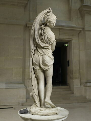 Vénus callipyge, image 8/11