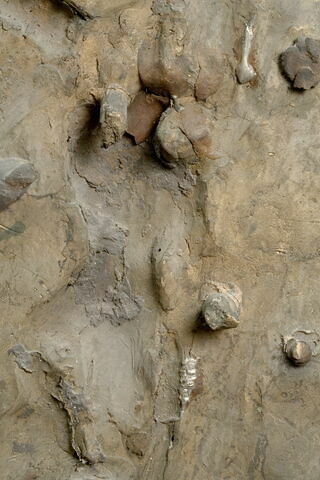 La Descente de Croix, image 20/21
