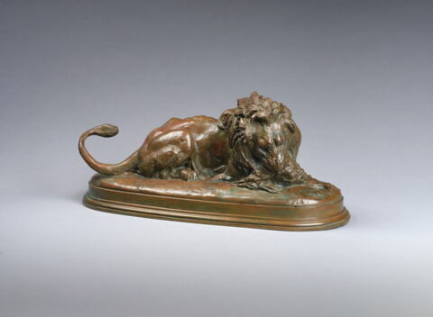 Lion dévorant une biche, image 3/3