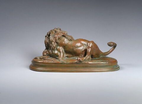 Lion dévorant une biche, image 2/3