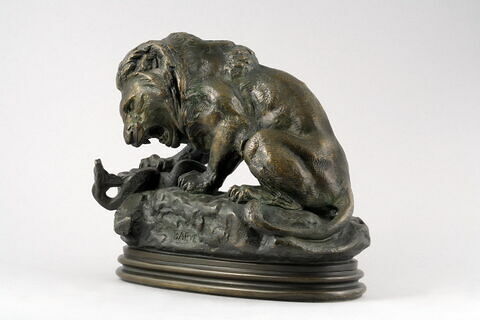 Lion au serpent, image 3/9
