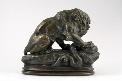 Lion au serpent, image 4/9