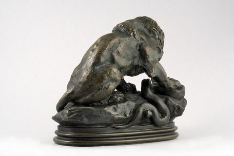 Lion au serpent, image 6/9
