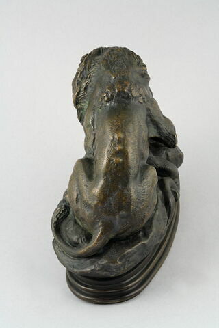 Lion au serpent, image 7/9