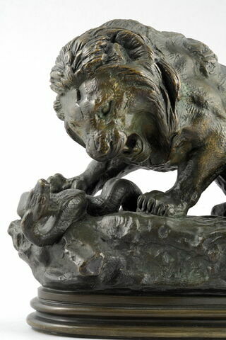Lion au serpent, image 8/9