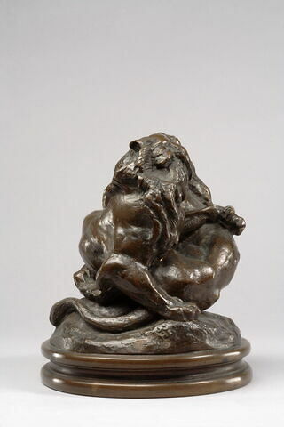 Deux jeunes lions, image 7/9