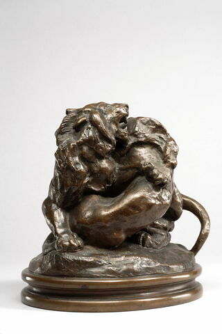 Deux jeunes lions, image 8/9