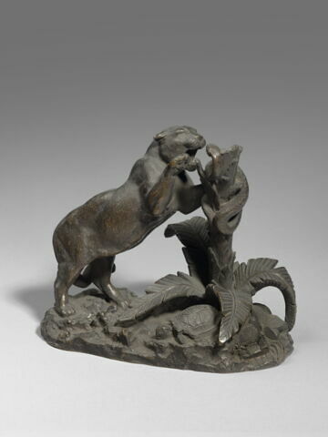 Tigre et serpent, image 2/3