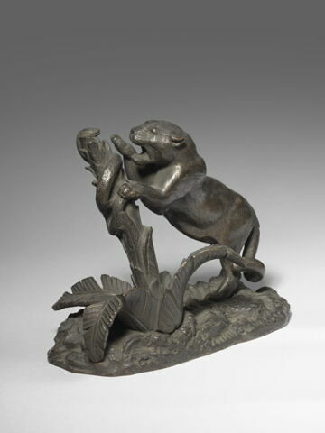 Tigre et serpent, image 3/3