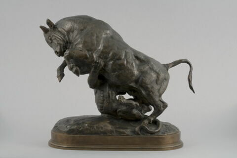 Taureau surpris par un tigre, image 4/9