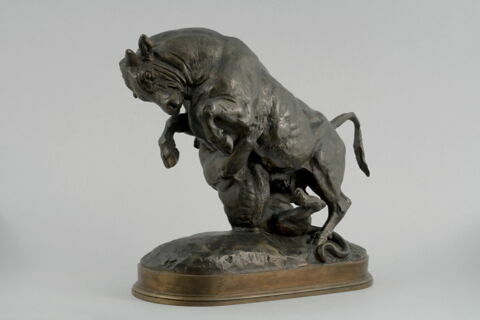 Taureau surpris par un tigre, image 6/9