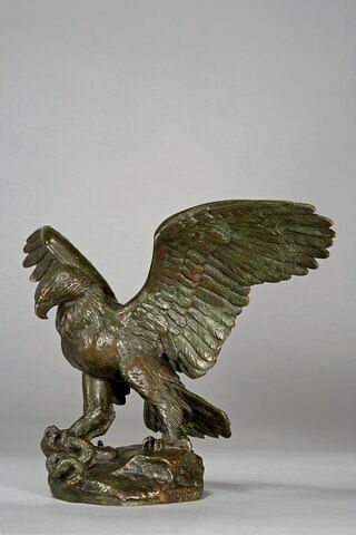 Aigle emportant un serpent, image 4/10