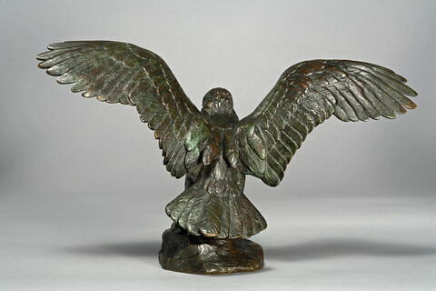 Aigle emportant un serpent, image 7/10