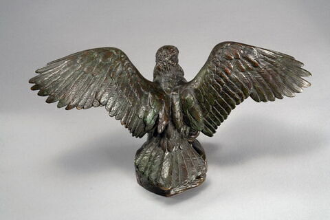 Aigle emportant un serpent, image 8/10