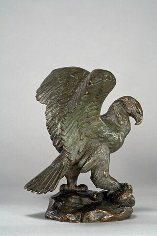 Aigle emportant un serpent, image 10/10