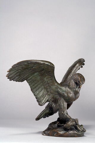 Aigle emportant un serpent, image 2/10