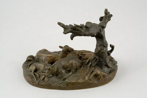 Famille de bouquetins, image 7/13
