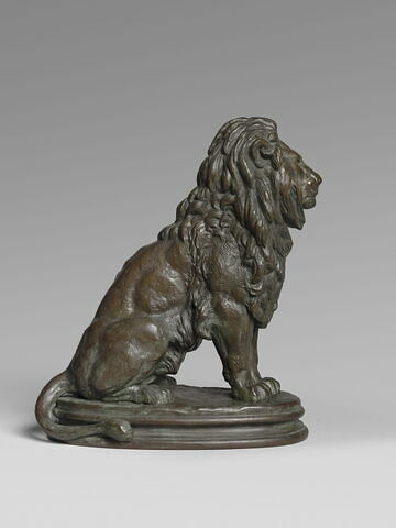 Lion assis, image 3/5
