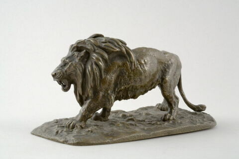 Lion affamé, image 6/7