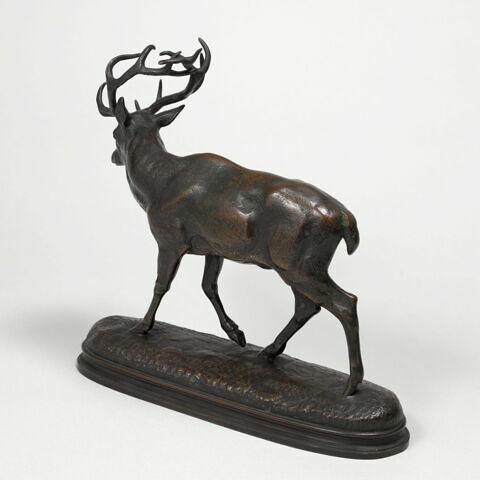 Cerf qui marche, image 2/2