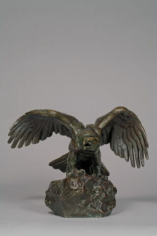 Aigle les ailes étendues le bec ouvert, image 2/9
