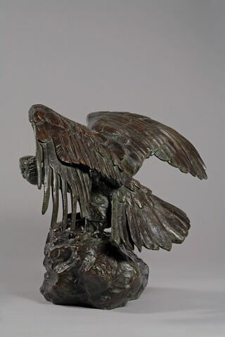 Aigle les ailes étendues le bec ouvert, image 6/9