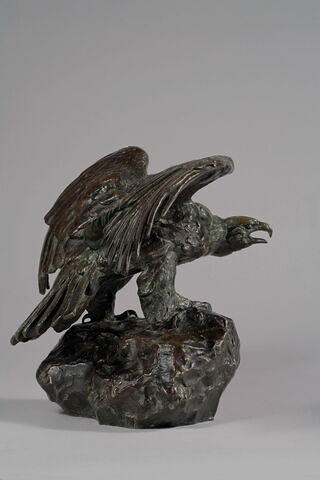 Aigle les ailes étendues le bec ouvert, image 8/9