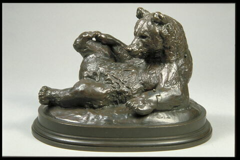 Ours assis, image 2/4
