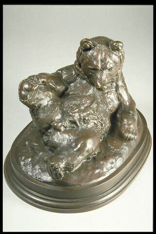 Ours assis, image 3/4