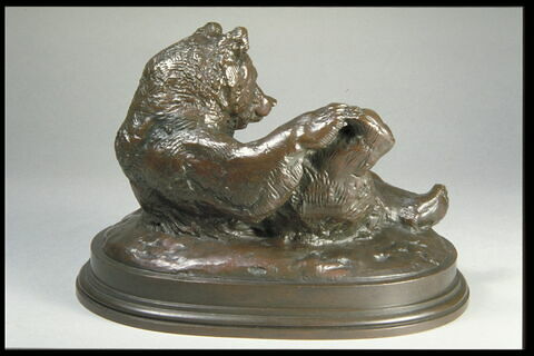 Ours assis, image 4/4