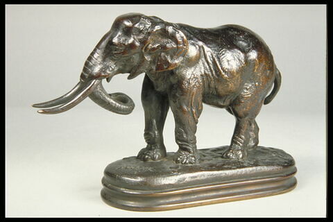 Éléphant de Cochinchine arrêté, image 5/7
