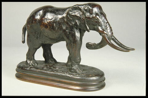 Éléphant de Cochinchine arrêté, image 6/7