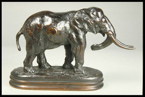 Éléphant de Cochinchine arrêté, image 7/7