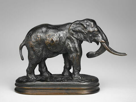 Éléphant de Cochinchine arrêté, image 2/7