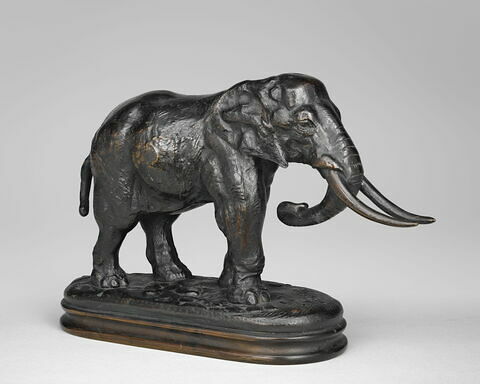 Éléphant de Cochinchine arrêté, image 3/7