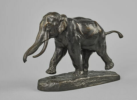 Éléphant de Cochinchine, image 2/7