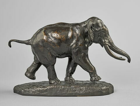 Éléphant de Cochinchine, image 3/7