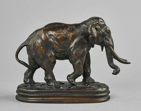 Éléphant d'Asie, image 3/7