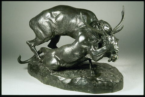 Panthère saisissant un cerf, image 2/7