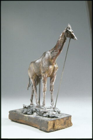 Girafe, image 11/14