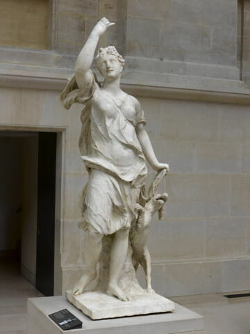 Compagne de Diane, image 6/11