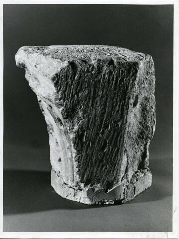 Chapiteau d'angle décoré de feuilles à nervure perforée, image 4/4