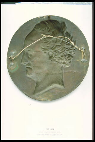 Goethe, image 3/3