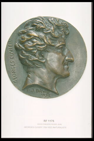 Georges Cuvier