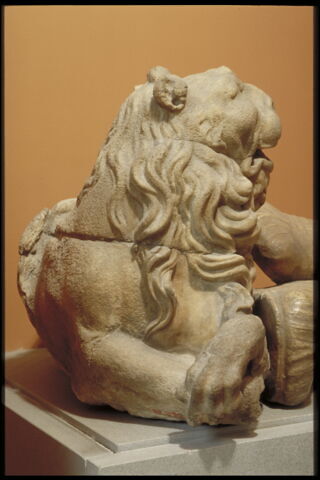 Lion, image 5/5