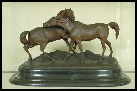 Tachiani et Nedjebe chevaux arabes, image 8/9